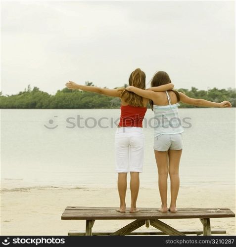 Rear view of girl and a teenage girl standing with their arms around each other on a picnic table