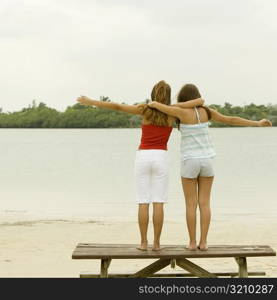 Rear view of girl and a teenage girl standing with their arms around each other on a picnic table