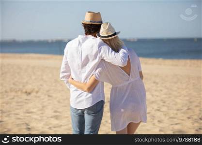 rear view of happy couple at the beach