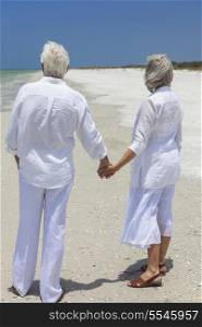 Rear view of happy senior man and woman couple holding hands together looking out to sea on a deserted tropical beach with bright clear blue sky.