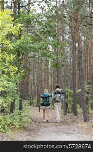 Rear view of hiking couple walking in forest