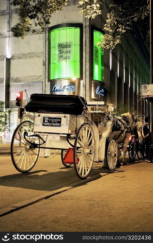 Rear view of horse carriages in front of a building, Michigan Avenue, Chicago, Illinois, USA