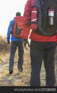 Rear view of male hikers in field