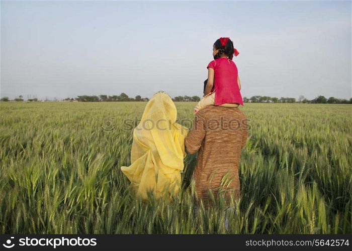 Rear view of rural family in an open field