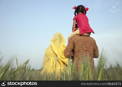 Rear view of rural family in the field