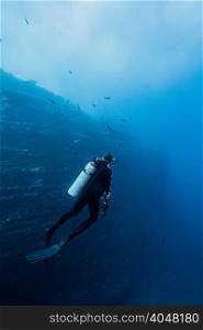 Rear view of scuba diver by underwater rock face