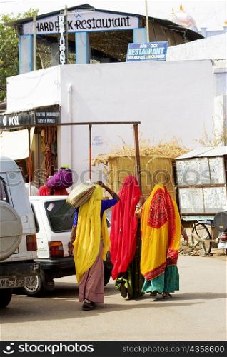 Rear view of three women walking on the streets, Pushkar, Rajasthan, India