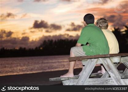 Rear view of two boys sitting on a picnic table
