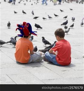 Rear view of two boys sitting with pigeons in front of them, Venice, Veneto, Italy