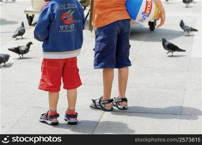 Rear view of two children standing beside pigeons, Venice, Veneto, Italy