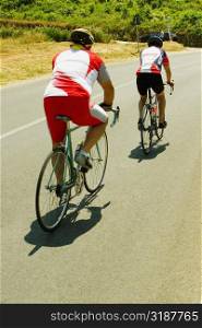 Rear view of two cyclists on the road, Siena Province, Tuscany, Italy