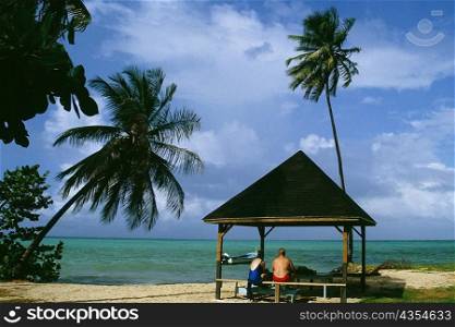 Rear view of two people in a picnic shelter, Pigeon Point, Tobago, Caribbean