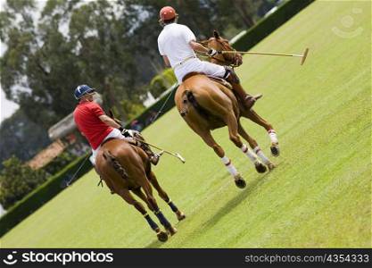 Rear view of two players playing polo