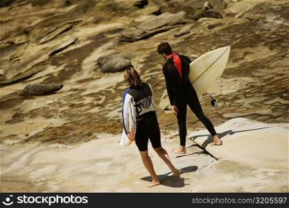 Rear view of two surfers walking on the beach, La Jolla Reefs, San Diego, California, USA