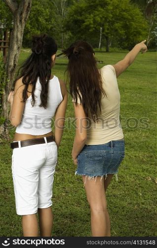 Rear view of two teenage girls standing in the garden