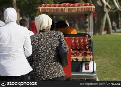 Rear view of two women standing behind a cart, Istanbul, Turkey