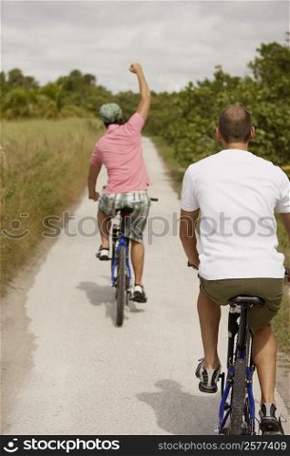 Rear view of two young men riding bicycles