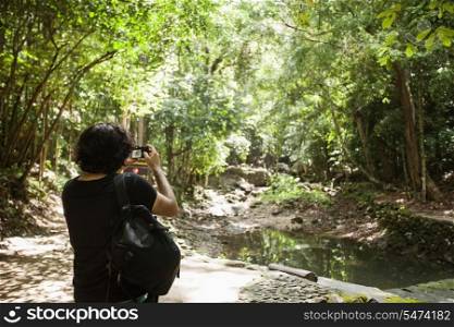 Rear view of young male hiker photographing in forest; Koh Pha Ngan; Thailand