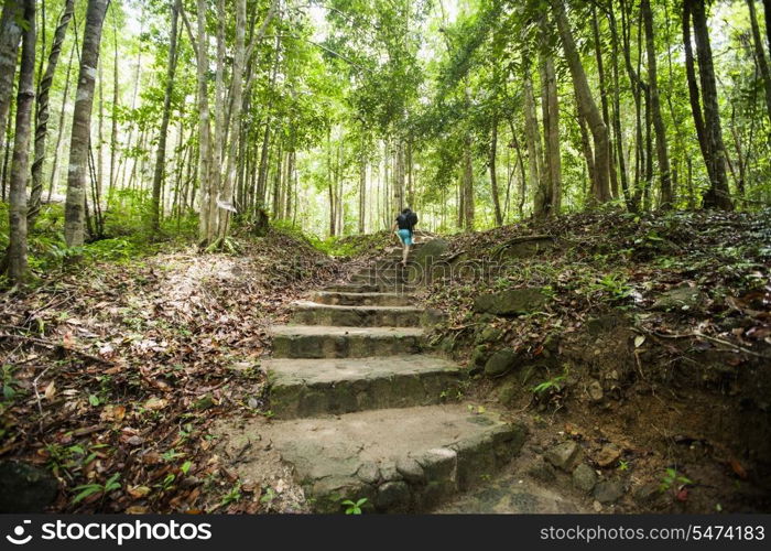 Rear view of young male hiking in forest; Koh Pha Ngan; Thailand