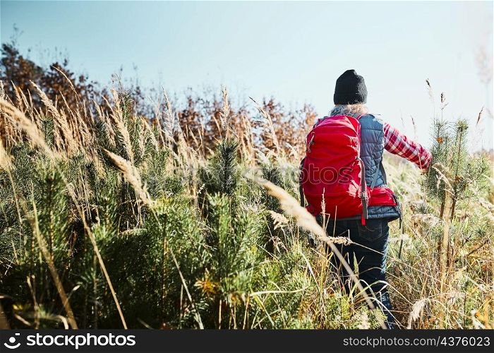 Rear view of young woman hiking on summer sunny day. Woman with backpack hiking through tall grass along path in mountains. Spending summer vacation close to nature