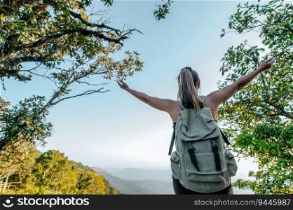 Rear view Young hiking woman standing and rise-up hands with happy on peak of rocky mountain, copy space