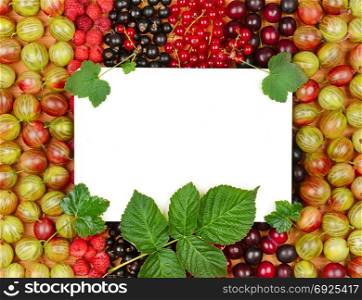 Recipe card on the background of fresh berries (raspberries, gooseberries, currants, plum).
