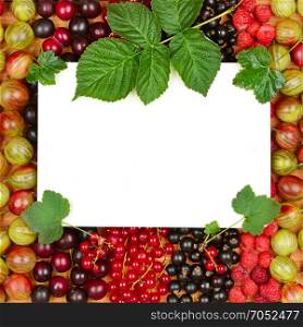 Recipe card on the background of fresh berries (raspberries, gooseberries, currants). Top view.