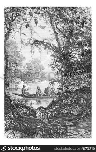 Reconnaissance at the Entrance of a Creek in Oiapoque, Brazil, drawing by Riou from a sketch by Dr. Crevaux, vintage engraved illustration. Le Tour du Monde, Travel Journal, 1880