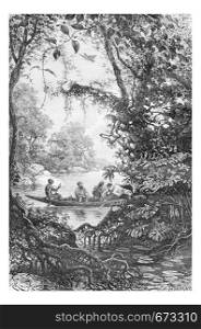 Reconnaissance at the Entrance of a Creek in Oiapoque, Brazil, drawing by Riou from a sketch by Dr. Crevaux, vintage engraved illustration. Le Tour du Monde, Travel Journal, 1880