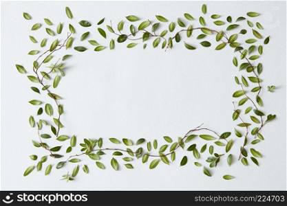 Rectangular frame of green leaves with space for a text, flat lay. Blank frame with leaves