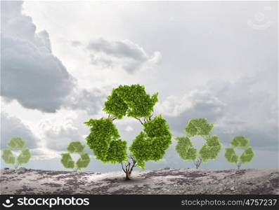 Recycle concept. Conceptual image of green plant shaped like recycle symbol