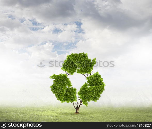 Recycle concept. Conceptual image of green plant shaped like recycle symbol