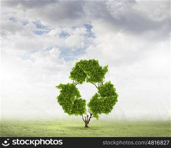 Recycle concept. Conceptual image of green plant shaped like recycle symbol