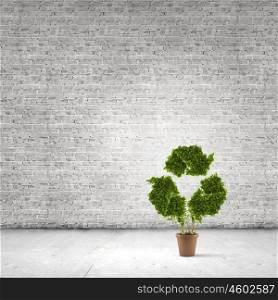 Recycle concept. Conceptual image of plant in pot shaped like recycle sign