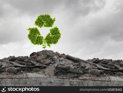 Recycle concept. Conceptual image with recycle green sign growing on ruins