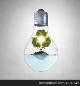 Recycling concept. Glass light bulb with green recycle sign inside