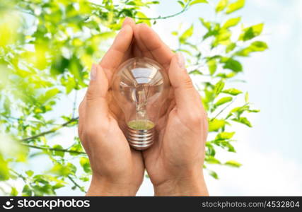 recycling, electricity, environment and ecology concept - close up of hands holding lightbulb or incandescent lamp over green natural background