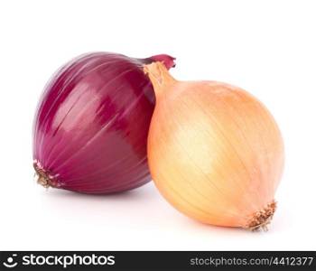 Red and gold onion bulbs isolated on white background