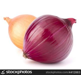 Red and gold onion bulbs isolated on white background