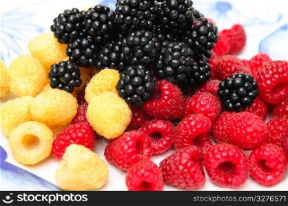 Red and golden raspberries topped with fresh blackberry served on an old fashined blue and white plate.. Assorted Berries
