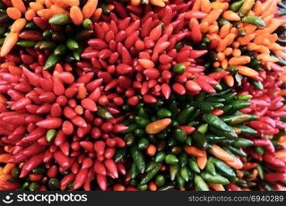 Red and green chilli paper background