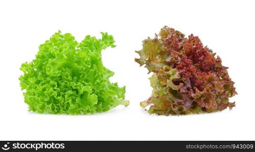 Red and green oak lettuce on white background.
