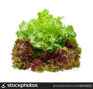 Red and green oak lettuce with water drops on white background.