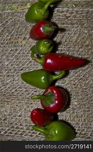 red and green peppers decorated in a line