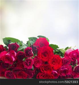 red and pink roses on wooden tborder isolated on white background. Border of red roses