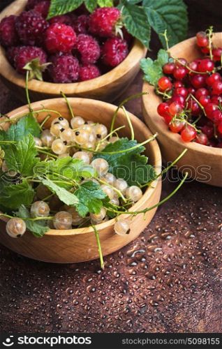red and white currant berries. red and white currants in bowl on copper background