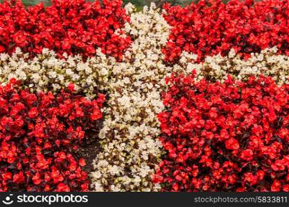 Red and white flowers illustrating the flag of Denmark