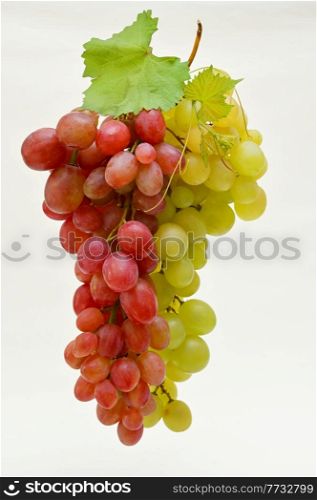 Red And White Grapes Bunches Isolated on White Background