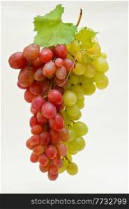 Red And White Grapes Bunches Isolated on White Background