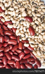 red and white haricot beans background